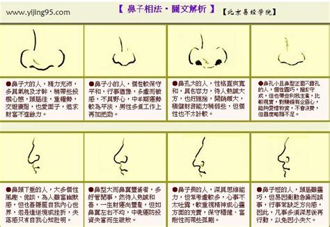 鼻環面相|【看鼻子 面相】超神準面相學解析！從鼻型看穿你內。